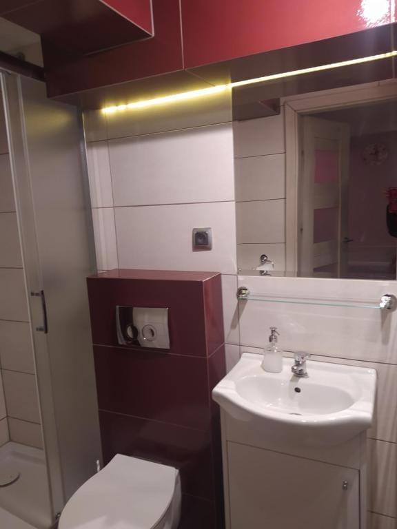 Prywatna łazienka z prysznicem w pokoju w Gnieźnie